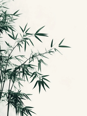 竹林背景摄影海报设计