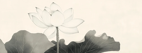 孤莲盛开墨韵细腻