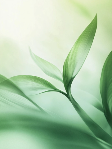 渐变绿色背景自然光感