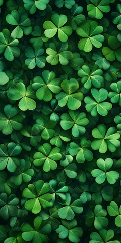 千叶幸运草背景图案