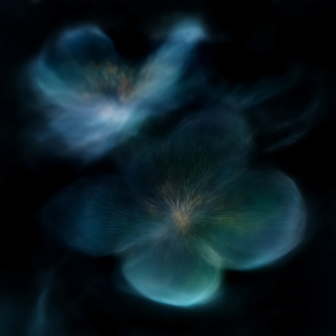 透明花朵蓝光动态模糊