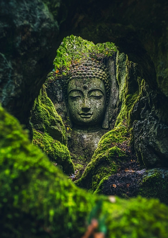 长满青苔的岩石中露出一尊佛像头部