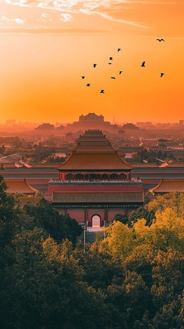 故宫古建筑群上空飞鸟翱翔的景象