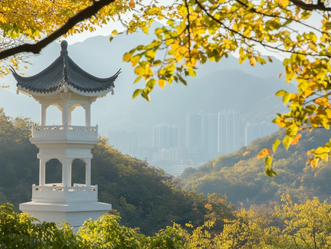 山林中带有东方韵味的观景亭