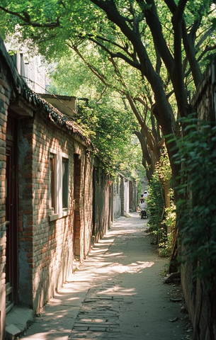 绿树成荫下的砖房小巷