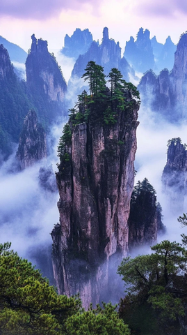 高峰云雾紫色光影