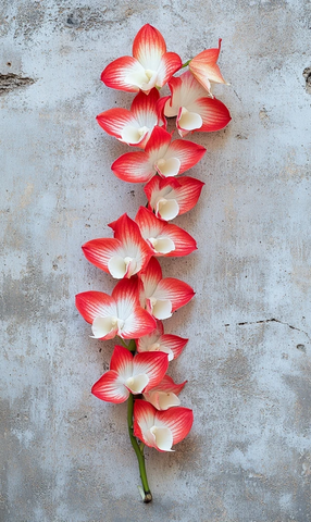红白石斛兰附生混凝土墙