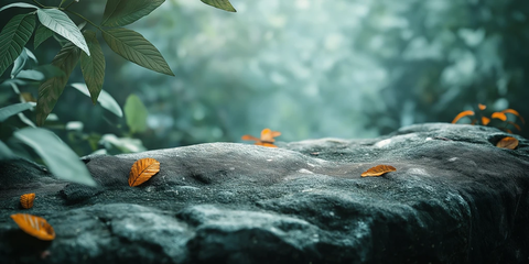 岩石树叶背景产品摄影