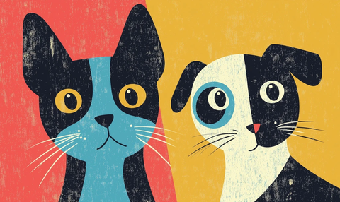 狗主猫主大对决