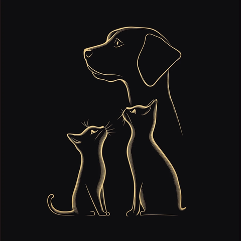 狗猫面对面站立剪影