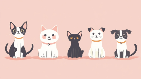 宠物贴纸电商页面设计