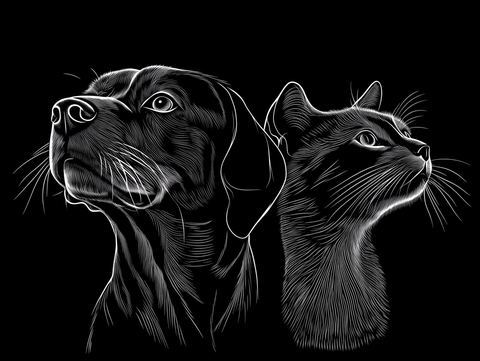 狗猫线稿黑白插画