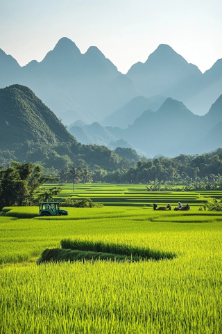 山间田野中的拖拉机与劳作的人们