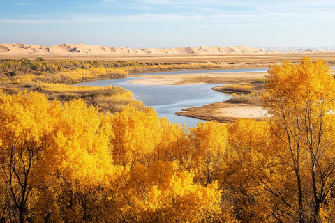 沙漠中河流两岸的金黄树林风景
