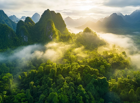 山间晨雾缭绕的葱郁丛林景观