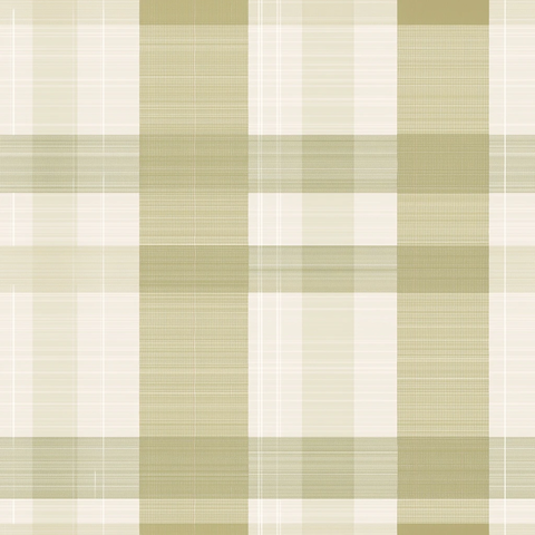 软绿格纹纸感设计