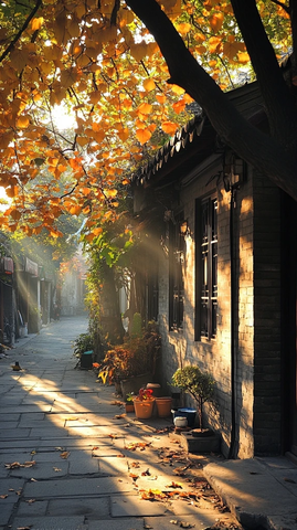阳光洒在小巷古旧建筑充满秋日氛围