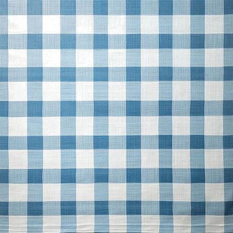 蓝白格子桌布俯视图