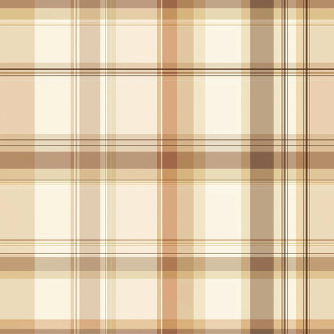 浅色格纹舒适色调搭配