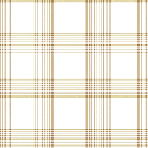 白底金色条纹格子图案