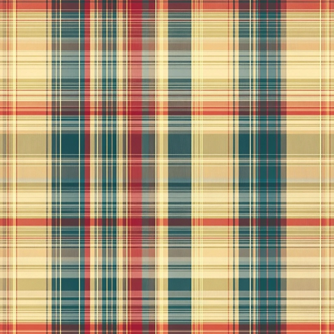 精细格纹图案无缝设计