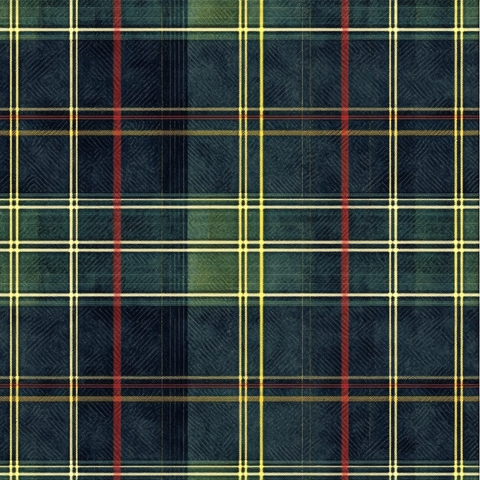 深绿蓝黄红白条纹格子面料