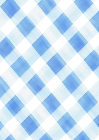 白底蓝色斜纹格子图案