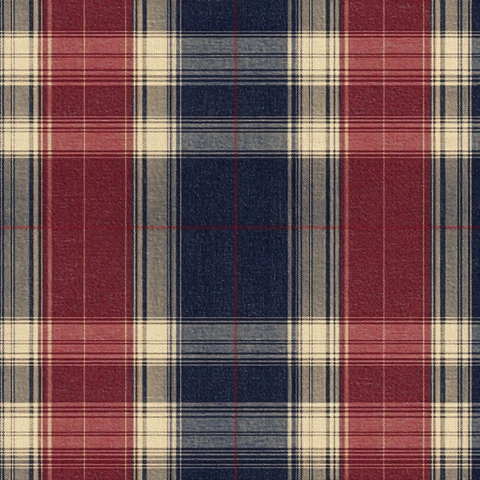 红蓝相间格纹面料纹理