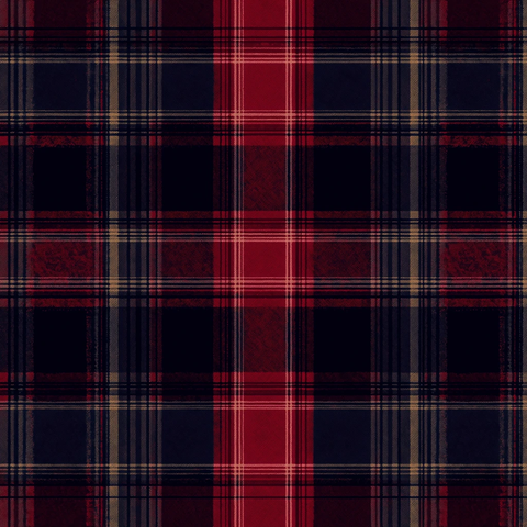 法兰绒图案红蓝配色