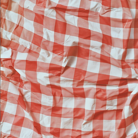 红白格纸质桌布俯视图