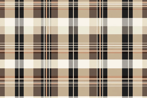 巴宝莉风格品牌图案矢量