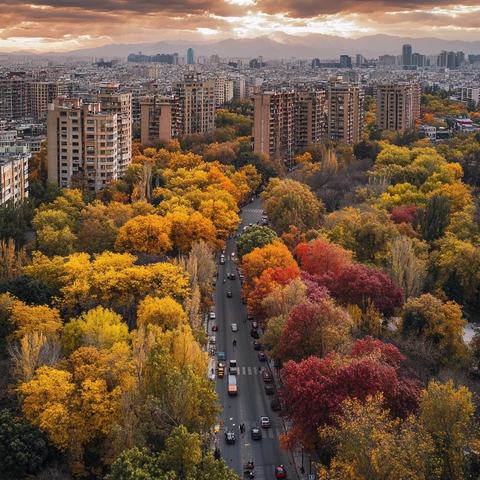 城市中树木夹道的多彩秋景道路