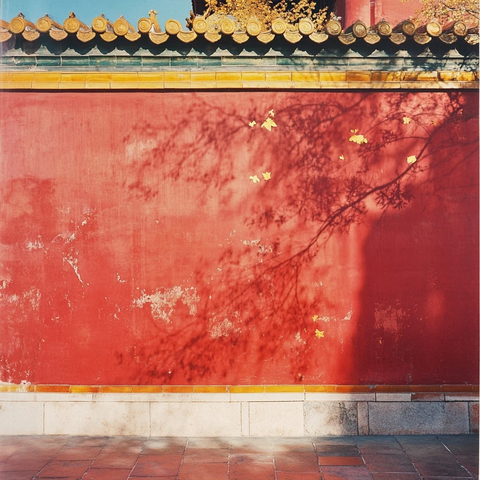 红墙古建筑上的树枝阴影特写