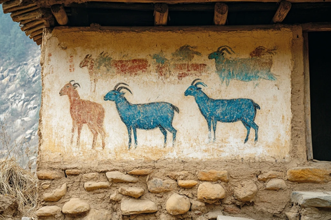 土墙上绘有彩色羊图案的乡村房屋