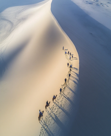 沙漠中骆驼队和行人的行进画面