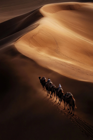 沙漠中骆驼队行走的壮观景象