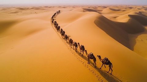 沙漠中行进的骆驼商队