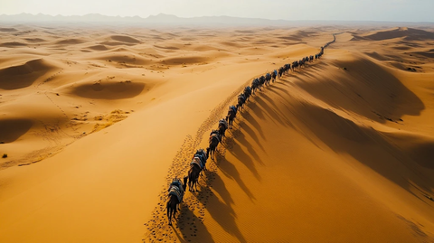 沙漠中骆驼队伍的壮观景象