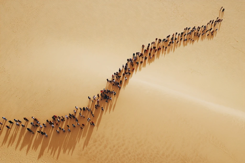 沙漠中人群行走的俯拍视角景象