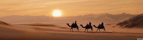 沙漠中骆驼队在夕阳下行走的画面