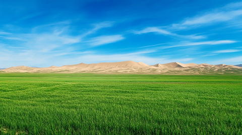 辽阔草原与沙漠相连的自然风光