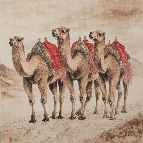 沙漠中驮着货物的骆驼群