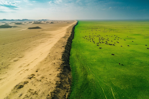 沙漠与草原相接的壮观自然景象