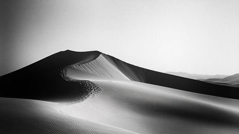沙漠中沙丘的黑白影像