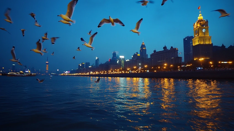 外滩水域上空飞翔的海鸥夜景图