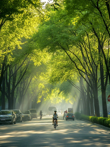 林荫道上骑行的人阳光洒下氛围惬意