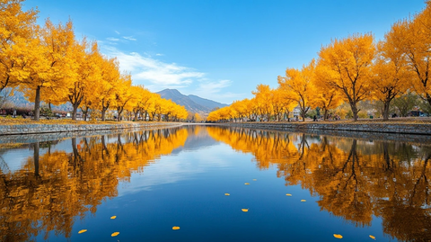 水边金黄树木林立的美丽风景