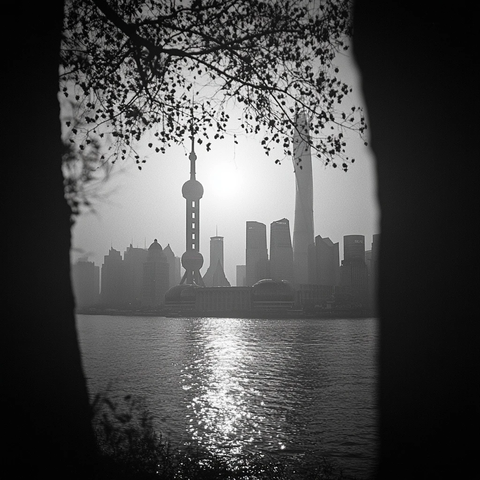 透过树枝拍摄的上海外滩全景