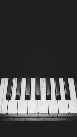 特大钢琴键细节特写