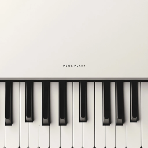 钢琴黑白键播放列表